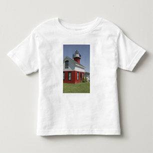 Fyren flyttad strand i Douglas nära 2 T Shirt
