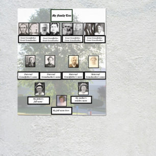 Fyrgenerations kinesisk almfamilj träd fotos poster