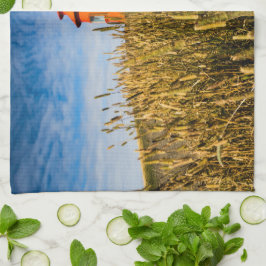 Fyrhus i Stykisholmur, Island Kökshandduk