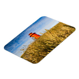 Fyrhus i Stykisholmur, Island Magnet