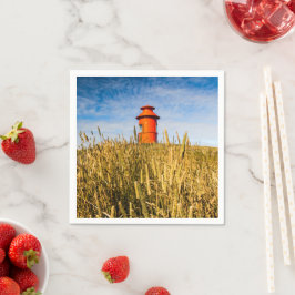 Fyrhus i Stykisholmur, Island Pappersservett