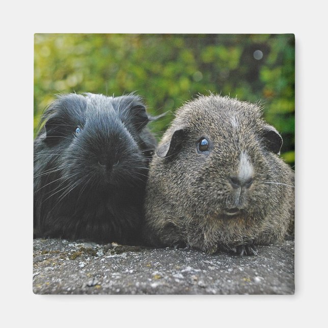 Fyrkant och skärfflar, magnet (Framsidan)