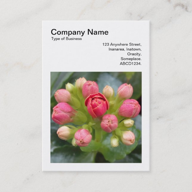Fyrkantig Foto (v3) - Kalanchoe Knoppar Visitkort (Framsida)