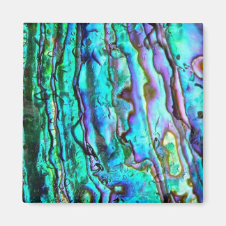 Fyrkantig snäcka för Abalone paua-bild Magnet