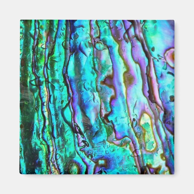 Fyrkantig snäcka för Abalone paua-bild Magnet (Framsidan)