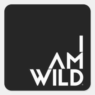 Fyrkantiga fästpunkter, blank fyrkantigt klistermärke