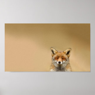Fyrkantiga Öga Fox Poster