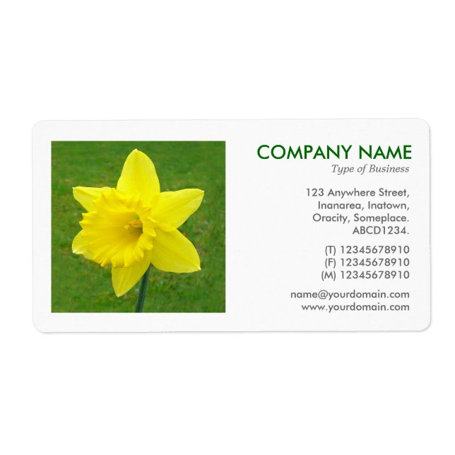 Fyrkantigt foto - Daffodil III Fraktsedel (Framsidan)