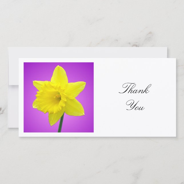 Fyrkantigt foto - Daffodil på Magenta och Lila Tack Kort (Framsida)
