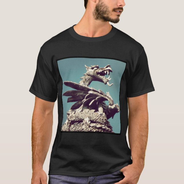 Fyrkantigt foto - Dragon T-shirt (Framsida)