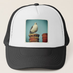 Fyrkantigt foto - Favorit Perch Keps