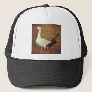 Fyrkantigt foto - Goose Keps