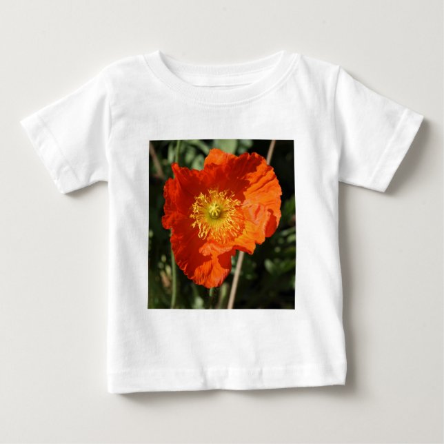 Fyrkantigt foto - Orange-diskett Tee Shirt (Framsida)