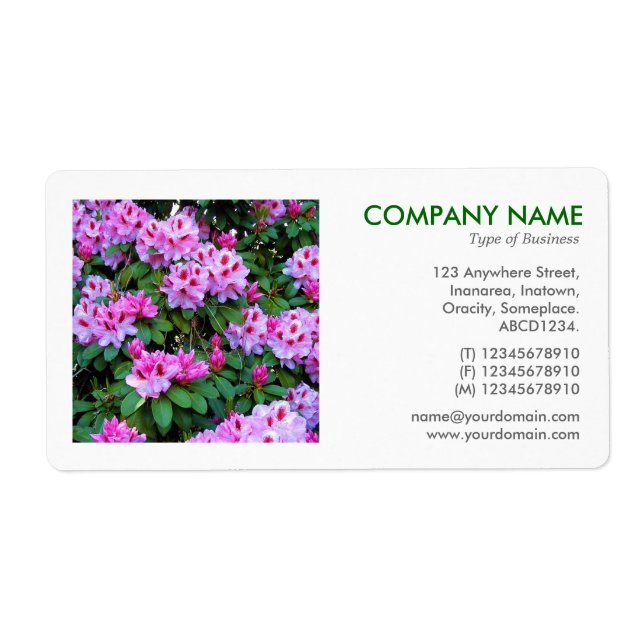 Fyrkantigt foto - Rhododendrons Fraktsedel (Framsidan)