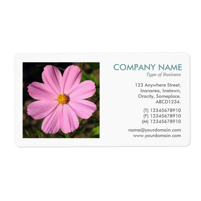Fyrkantigt foto - Rosa Cosmos Fraktsedel (Framsidan)