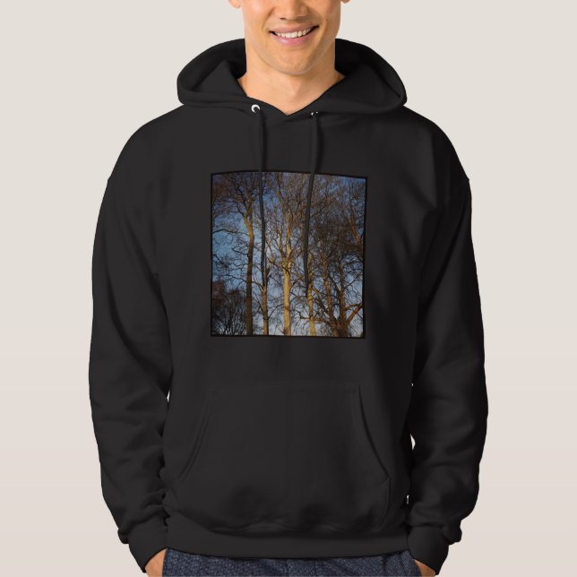 Fyrkantigt foto - Sunlit Winter Träd Sweatshirt Med Luva (Framsida)