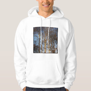 Fyrkantigt foto - Sunlit Winter Träd Sweatshirt Med Luva