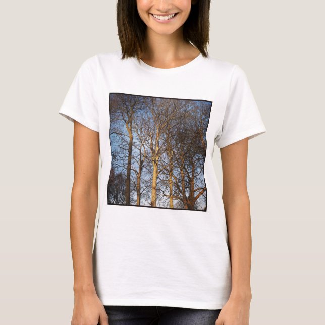 Fyrkantigt foto - Sunlit Winter Träd T-shirt (Framsida)