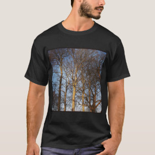 Fyrkantigt foto - Sunlit Winter Träd Tee