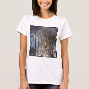 Fyrkantigt foto - Sunlit Winter Träd Tee