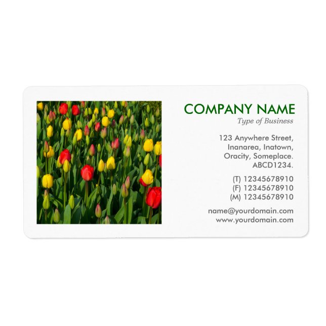 Fyrkantigt foto - Tulips Fraktsedel (Framsidan)