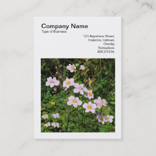 Fyrkantigt foto (v3) - Rosa Anemones Visitkort