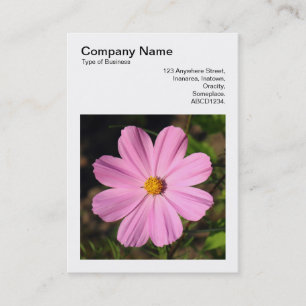 Fyrkantigt foto (v3) - Rosa Cosmos Visitkort
