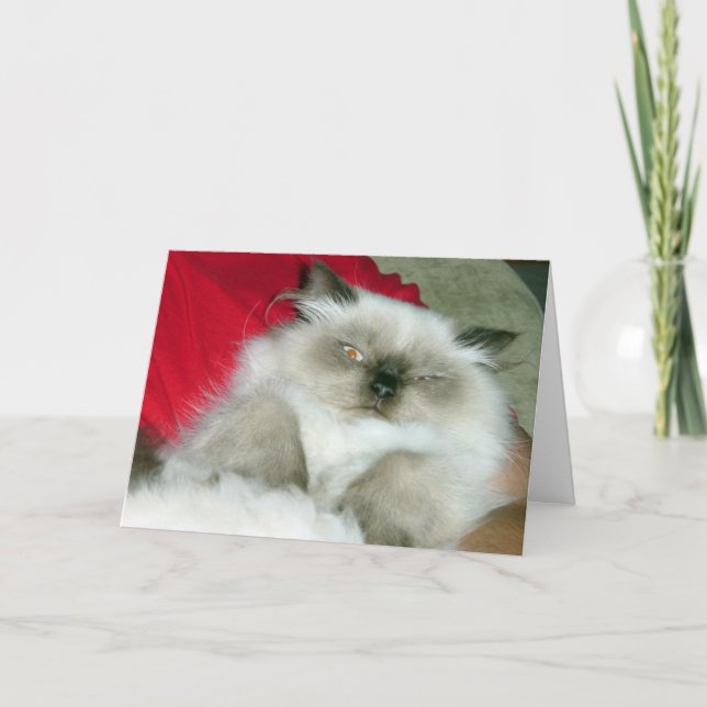 Fyrkantigt Himmy-födelsedagskort Kort (Framsida)