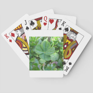 Fyrklöver Casinokort