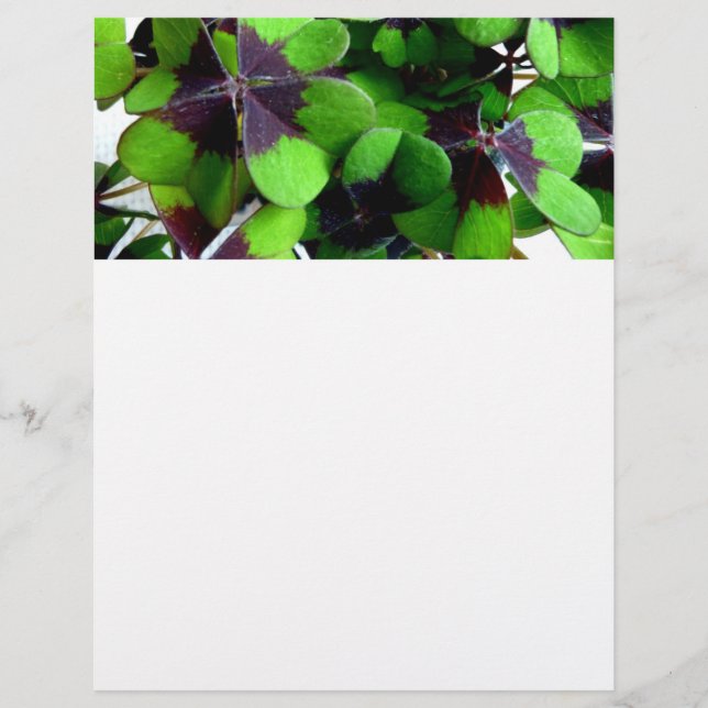 Fyrklöver Letterhead Shamrock St. Patrick's (Framsida)