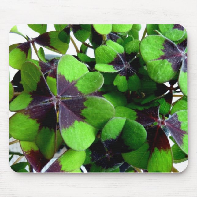 Fyrklöver Shamrock St. Patrick's Lucky Musmatta (Framsidan)