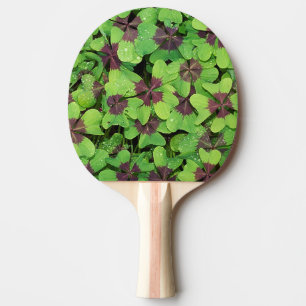 Fyrklöver (Sorrel) efter regn Pingisracket
