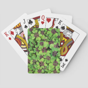 Fyrklöver, Sorrel, med Dew Spel Kort