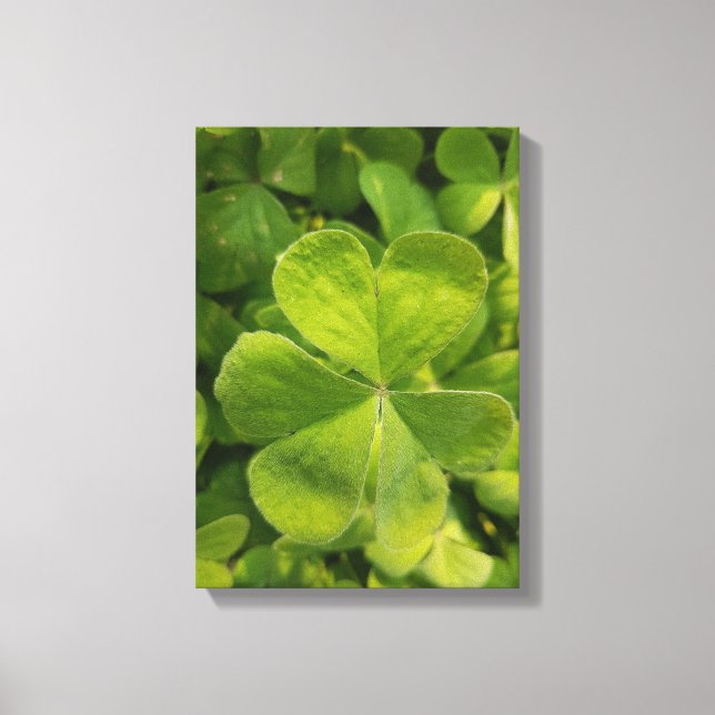 Fyrklöver Wall Art Photo Canvas (Framsida)
