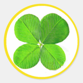 Fyrklövra MUSEUM Zazzle-gåvor Runt Klistermärke