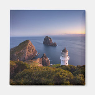 Fyrskåp Lighthouse Cape Brett Nya Zeeland Magnet