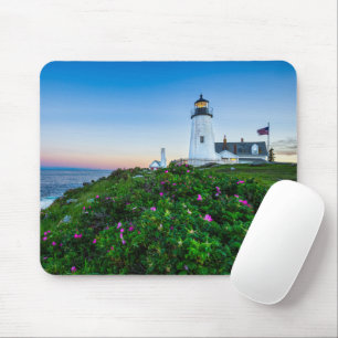 Fyrskåp Point Lighthouse Bristol Maine Musmatta