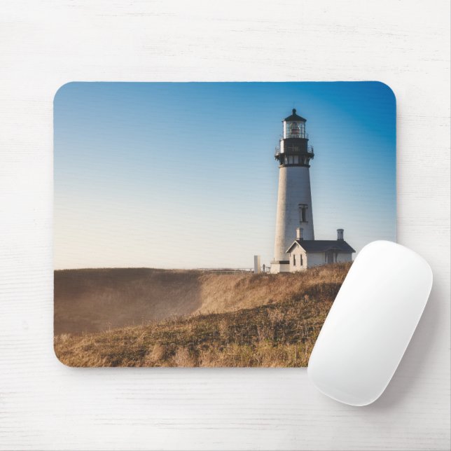Fyrskåp | Yaquina Head Lighthouse Oregon Musmatta (Med mus)