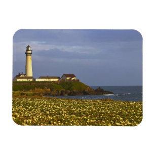 Fyrtorn vid Pigeon Point State Beach i San Magnet