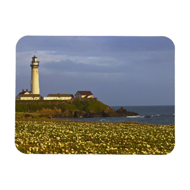 Fyrtorn vid Pigeon Point State Beach i San Magnet (Horisontell)