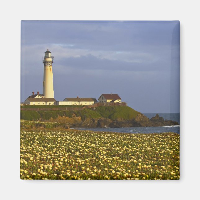 Fyrtorn vid Pigeon Point State Beach i San Magnet (Framsidan)