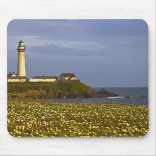 Fyrtorn vid Pigeon Point State Beach i San Musmatta