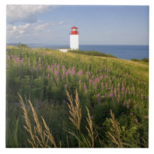 Fyrtorn vid St. Martins, New Brunswick, 2 Kakelplatta