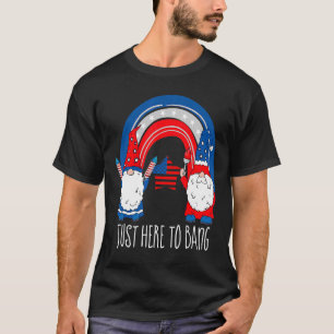 Fyrverkerier 4 juli precis här för att bang Rainbo T Shirt