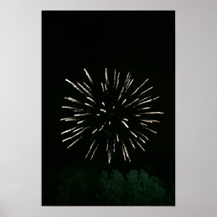 Fyrverkerier med träd poster