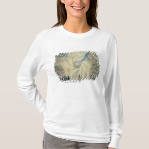 Fyrverkerier Tee Shirt