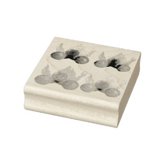 Fysalis jordgubbar stämpel