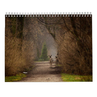 Fysiskt influensafoto 2016-kalender kalender