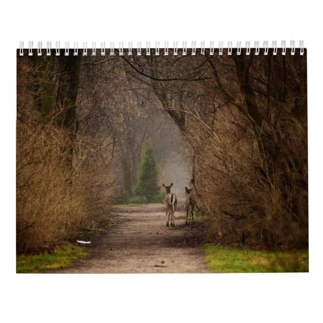 Fysiskt influensafoto 2016-kalender kalender (Baksida)