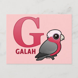 G är för Galah Vykort